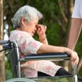 What is elder neglect abuse?